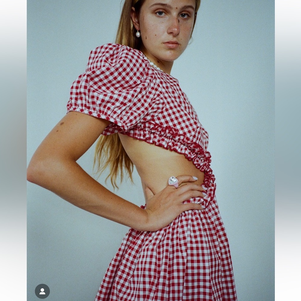 Sandy Liang Wolff Dress in Red Gingham